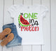 Girls Watermelon summer Shirt, Toddler One in a Melon Shirt, Toddler Custom Girls shirt, Toddler Summer shirt, Sublimation shirt
